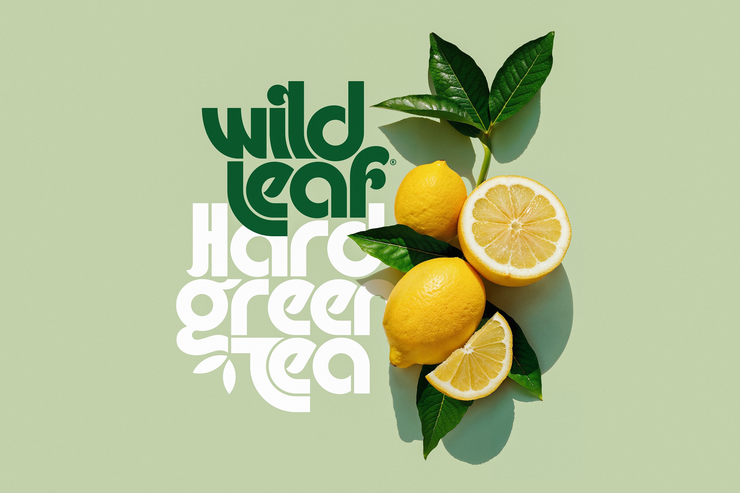 StudioMPLS_WildLeaf_Fruit1 StudioMPLS_WildLeaf_Fruit1