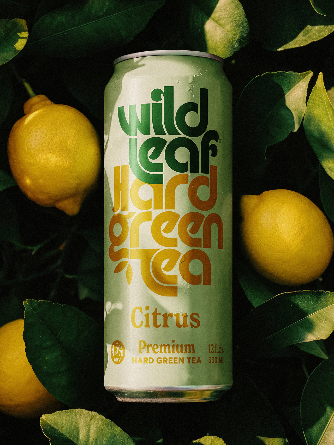 StudioMPLS_WildLeaf_Poster_2 StudioMPLS_WildLeaf_Poster_2